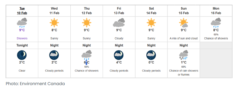 640-20260210-171641-698bd87943ef0