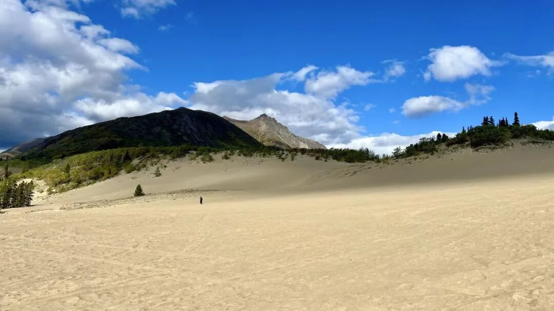 640-20260211-104427-698cce0b8c15a