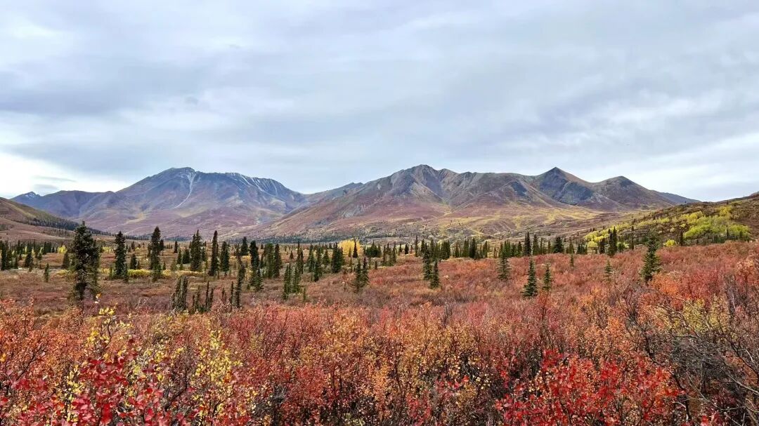 640-20260211-104432-698cce10b2a8e