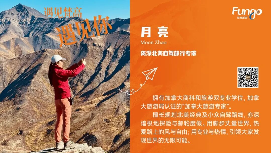 640-20260216-081111-6993419fb5e58