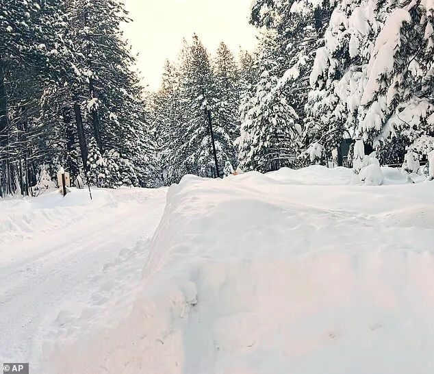 640-20260219-163114-6997ab52d3945 640-20260219-163114-6997ab52d3945