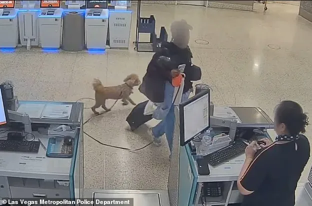 640-20260220-145644-6998e6acdcb99