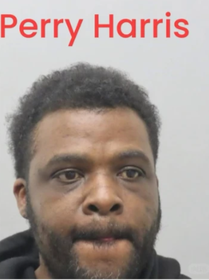 640-20260224-143716-699e281cf202c 640-20260224-143716-699e281cf202c