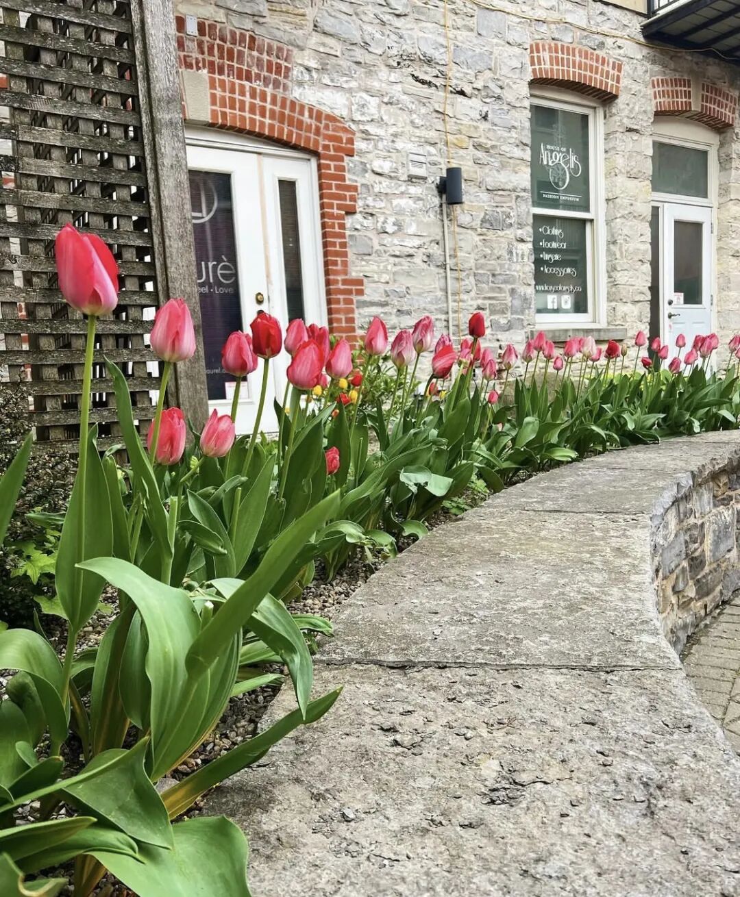 640-20260226-102510-69a09006e3152