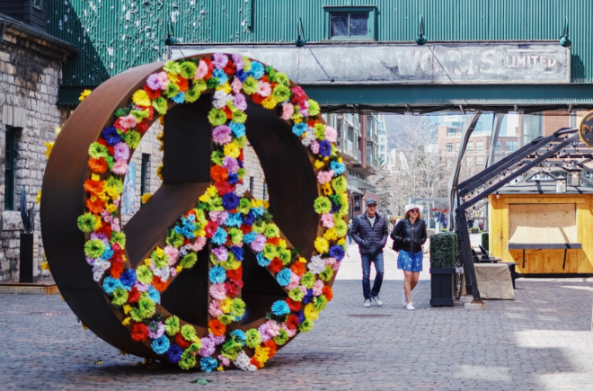 69946123765c7-20260217-103203-6994b4231add6