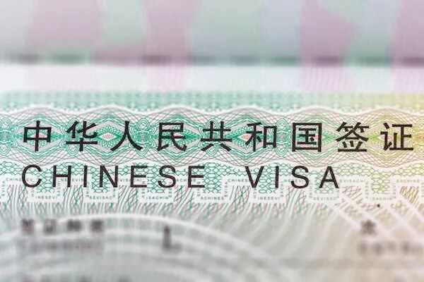 69947e38674d2-20260217-102707-6994b2fba732a 69947e38674d2-20260217-102707-6994b2fba732a