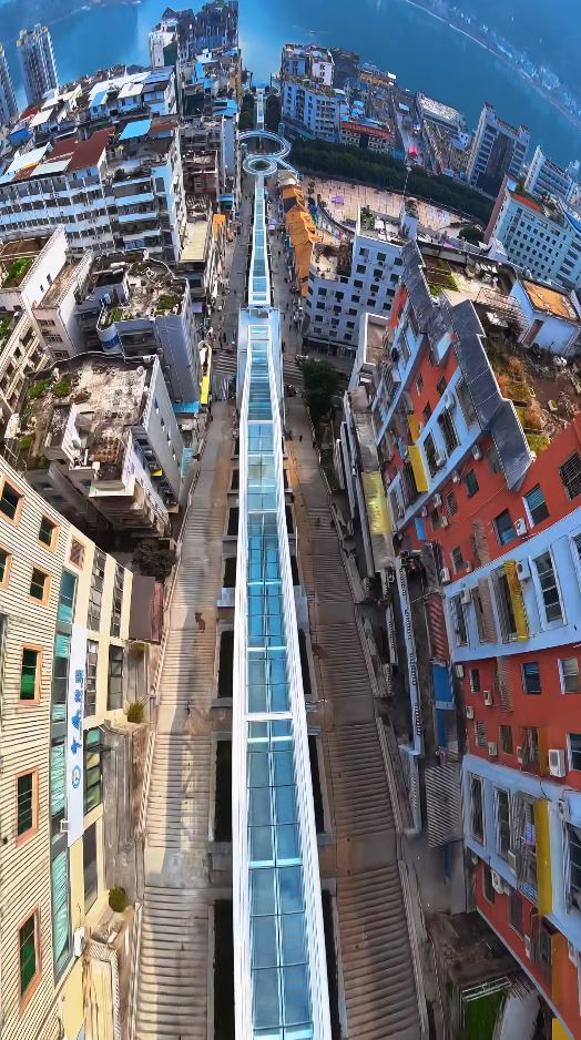 a_15-20260212-093409-698e0f1116780 a_15-20260212-093409-698e0f1116780