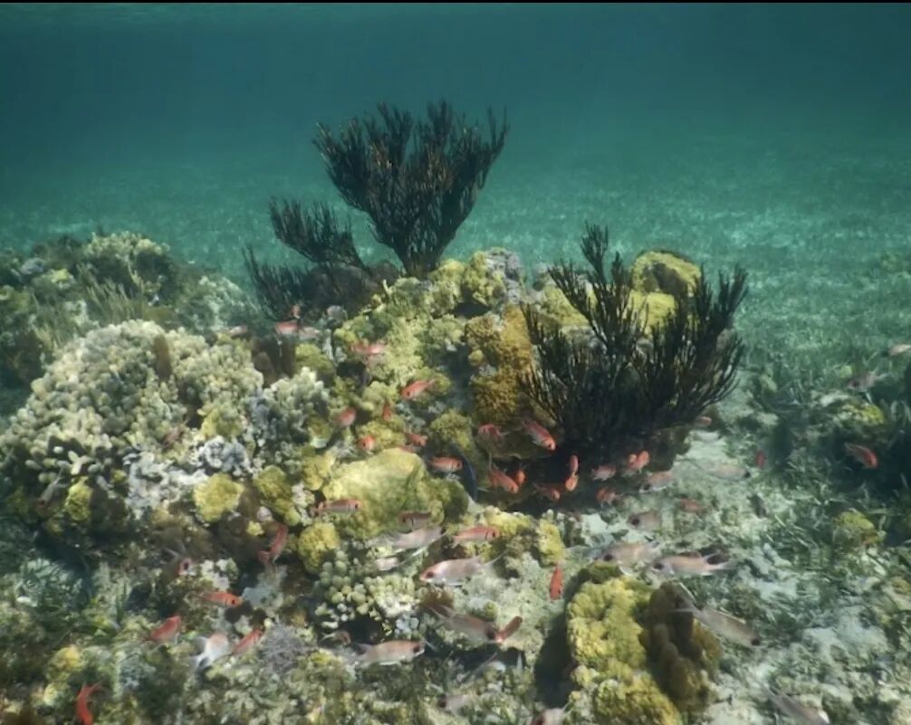 640-20260302-110941-69a5e075bde24