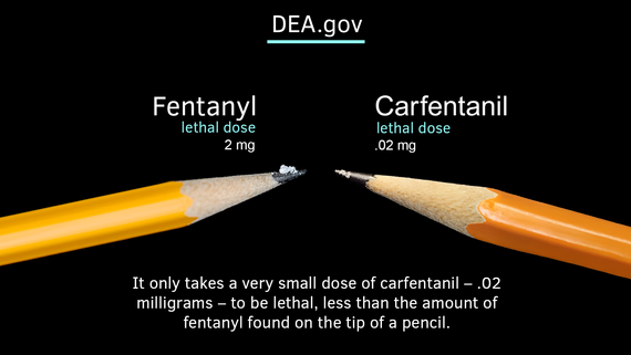 carfentanil-pencil_crop-20260418-084700-69e3a7745b05c carfentanil-pencil_crop-20260418-084700-69e3a7745b05c