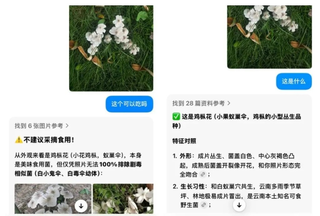 AI仍会误判野生菇是否有毒。 AI仍会误判野生菇是否有毒。