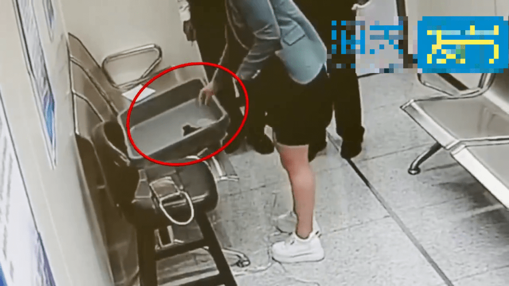 女客打底裤夹层拿出大量活龟。 海关发布 女客打底裤夹层拿出大量活龟。 海关发布