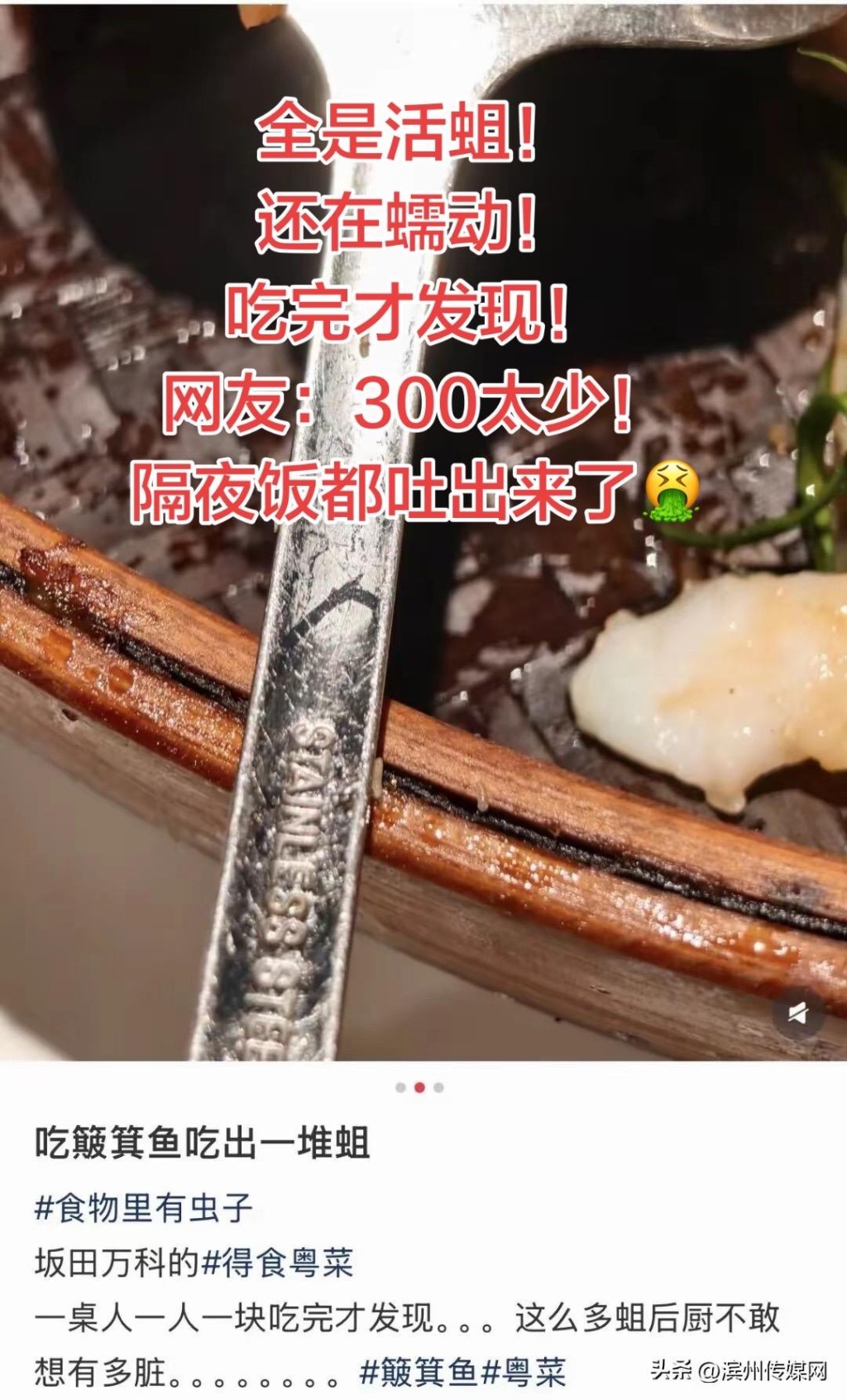 深圳龙岗有食肆被发现食材及餐具有活蛆虫。小红书 深圳龙岗有食肆被发现食材及餐具有活蛆虫。小红书
