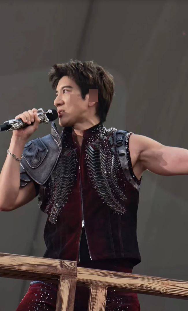 王力宏被“威吔”绊倒致左耳及脸部共缝39针。小红书 王力宏被“威吔”绊倒致左耳及脸部共缝39针。小红书