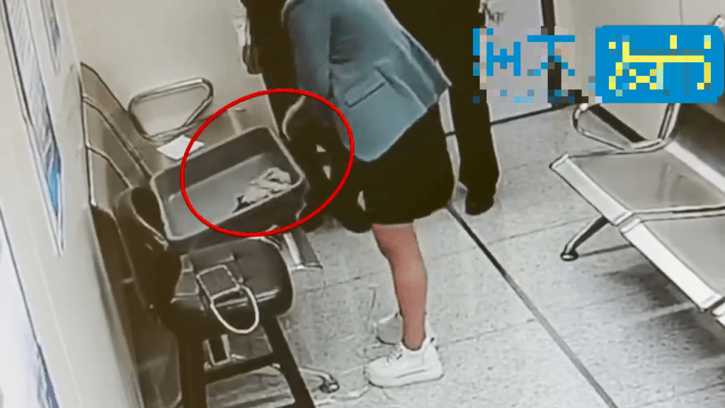 女客打底裤夹层拿出大量活龟。 海关发布 女客打底裤夹层拿出大量活龟。 海关发布