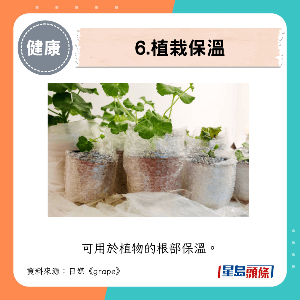 6. 植栽保温