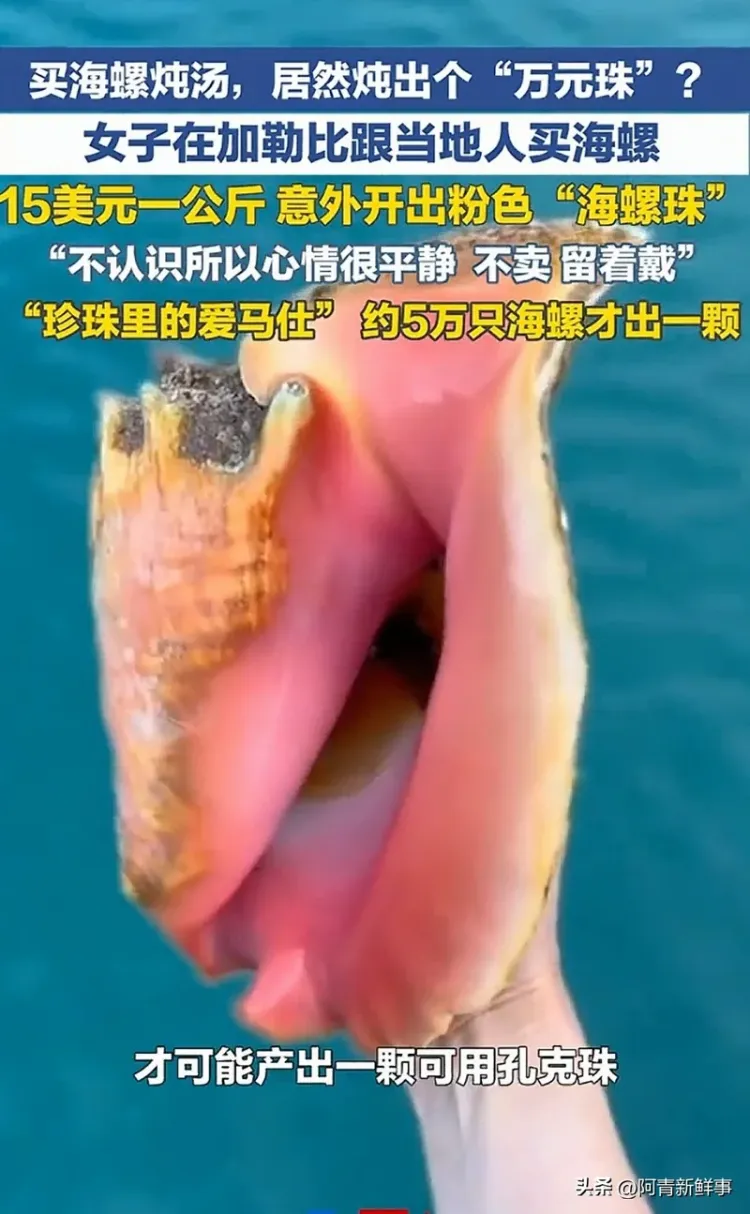 女子在加勒比海沿岸买海螺 意外开出粉色“海螺珠”