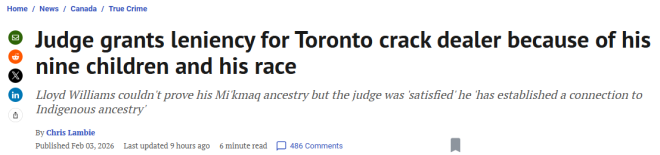 离谱! 多伦多毒贩获轻判, 只因生了9个娃+“特殊族裔”身份!