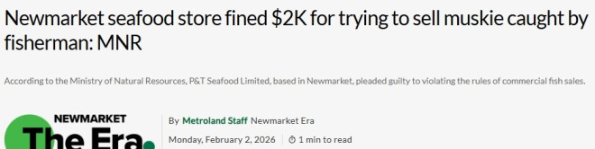 约克区海鲜店违规卖"钓上来的鱼"，被重罚！
