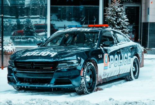 60人装扮成罗宾汉洗劫加国超市将偷来的商品免费赠送