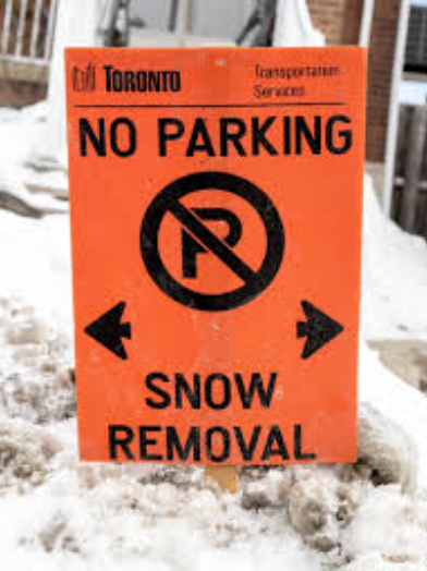车停路边影响除雪，多伦多15天内开出超两万张、200多万元的罚单
