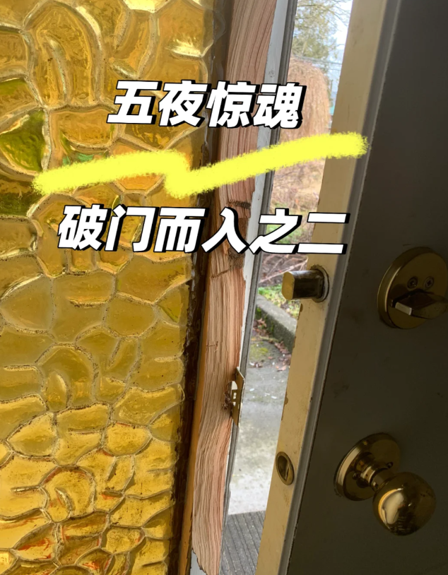 加拿大抢劫射杀不断！我家车刚被烧毁，邻居家就被入室抢劫