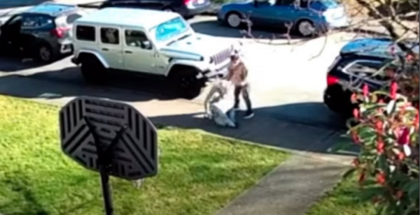 大温90岁老妇被陌生人抢劫受伤 一路血迹