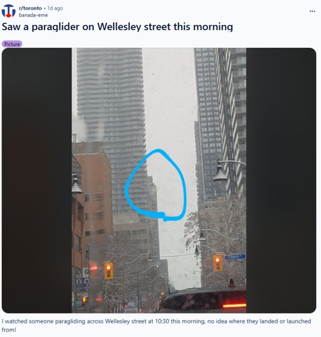 看懵了！多伦多市中心惊现"高空跳伞"：落地后竟直接离开
