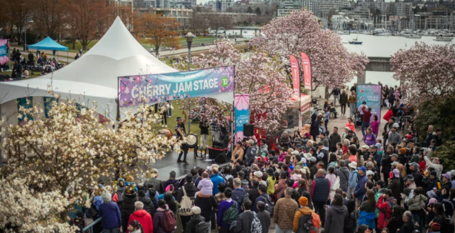 今年温哥华樱花节将比往年更盛大