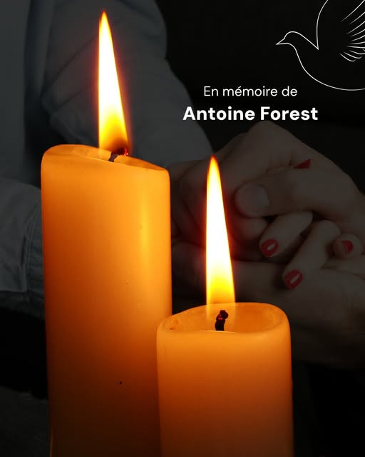 May be an image of fire and text that says 'En m&eacute;moire de AntoineForest Antoine Forest'