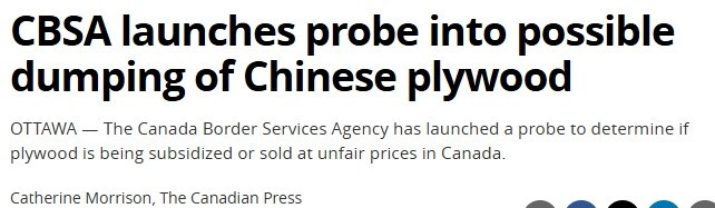 加拿大启动对中国胶合板反倾销调查，本地企业称损失惨重