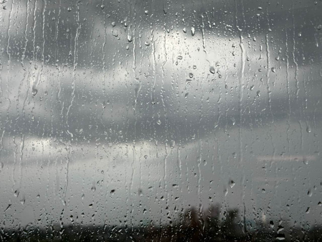 两大天气警报！安省南部今日雨雾来袭，局地或现大雨