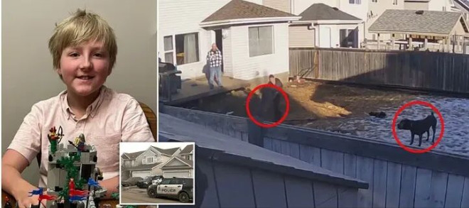 加国11岁男童被两只恶犬咬死 庭审曝细节！