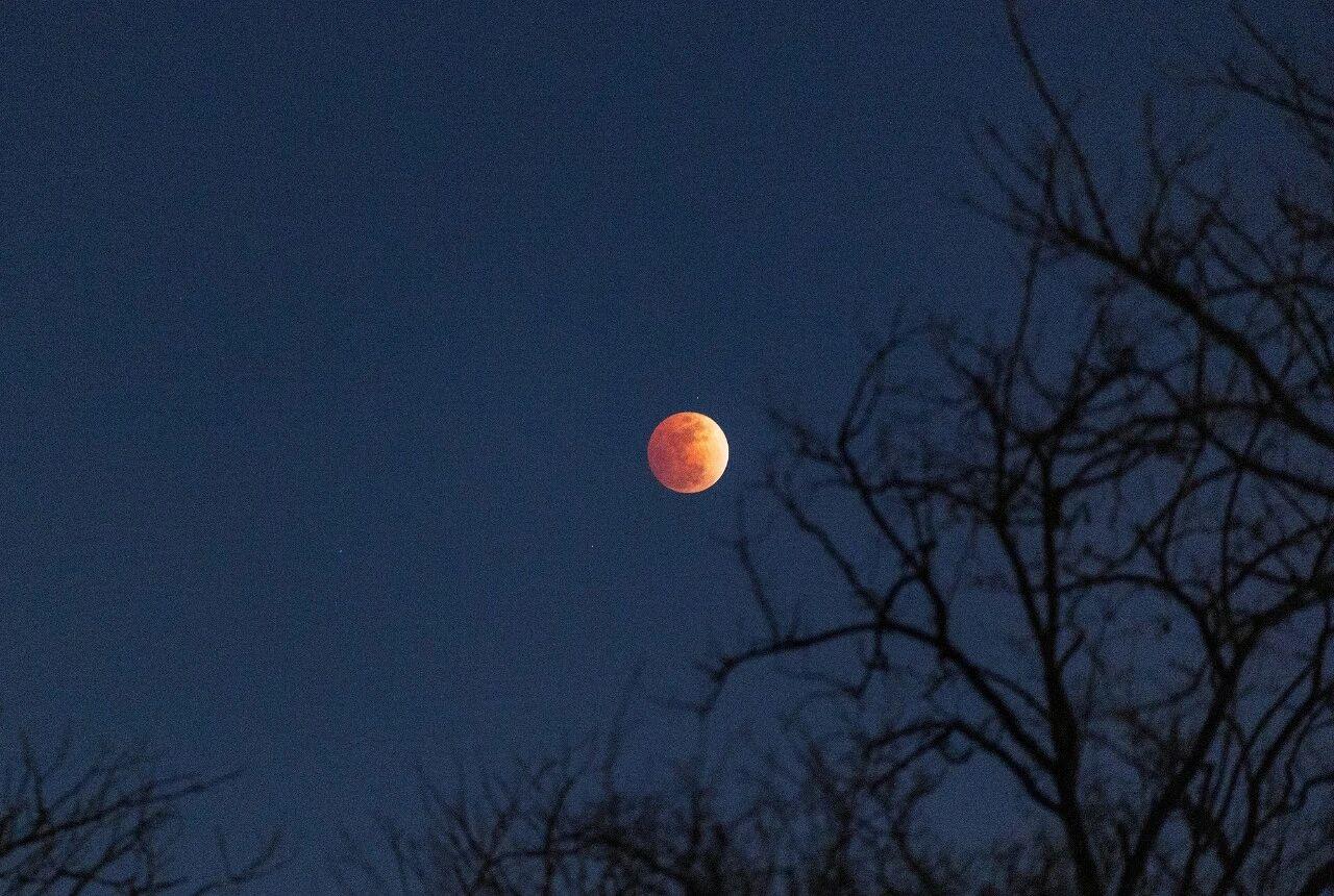 刷屏朋友圈！“元宵红月”高清大图来了