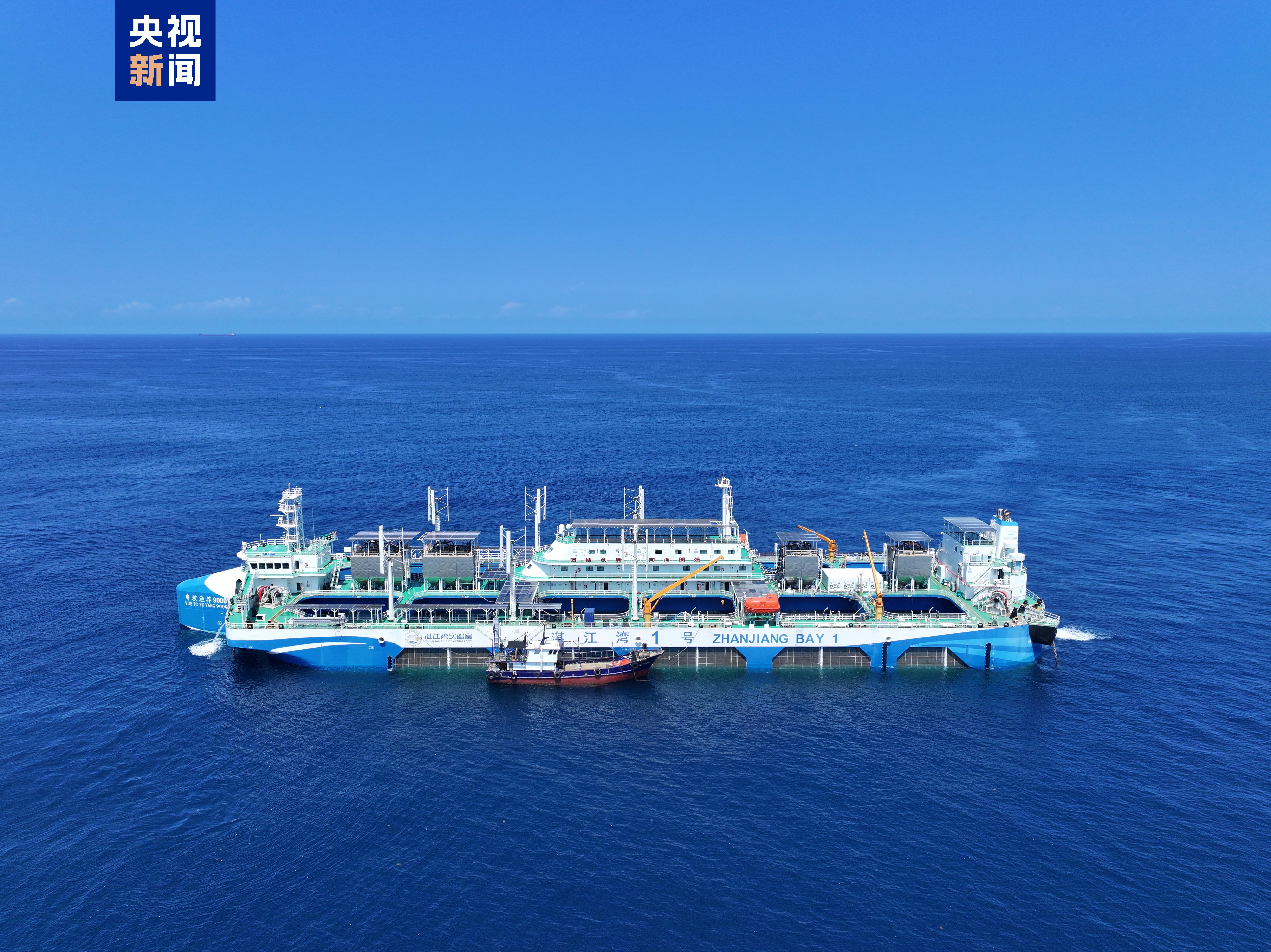 全球首艘漂浮式动力定位养殖平台“湛江湾1号”顺利迎来首次捕捞