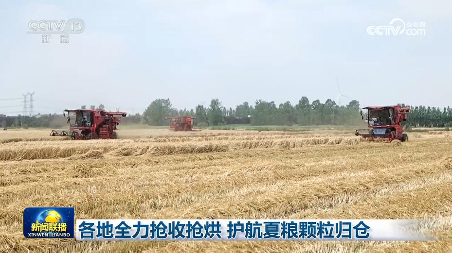 各地全力抢收抢烘 护航夏粮颗粒归仓