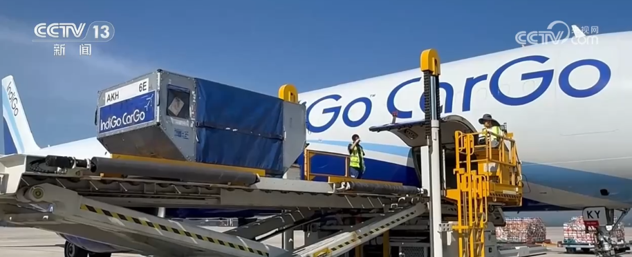 115条、145.3亿元、1404万吨……“数”说跨境贸易便利化 企业畅享多维度优势