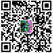 百灵法律： 海牙认证， 遗嘱，遗嘱执行  离婚，婚姻协议