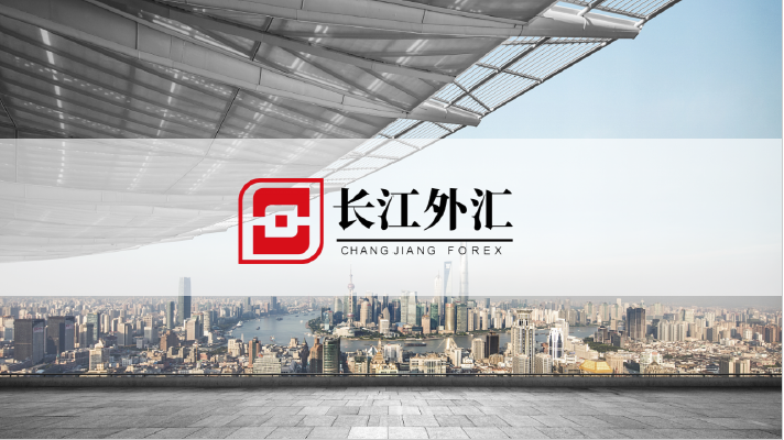 长江外汇 大额货币兑换