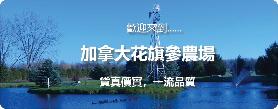 加拿大西洋参农场，货真价实，一流品质