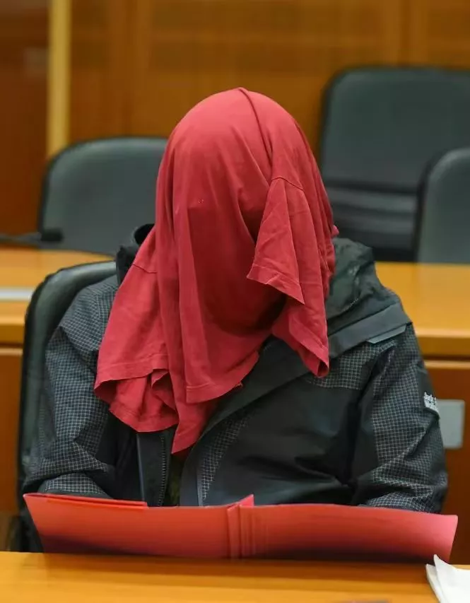 德国华人迷奸案：药、暗语、非人化