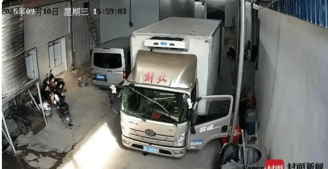 千里“偏航”，精准“猎杀”：谁在把公权力变成“生意”？