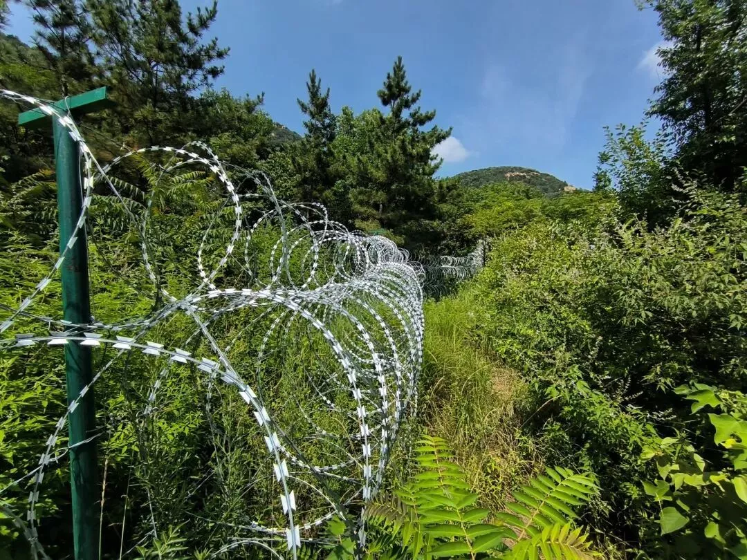 135公里"刀片刺绳":存在多年,当地居民进山受阻
