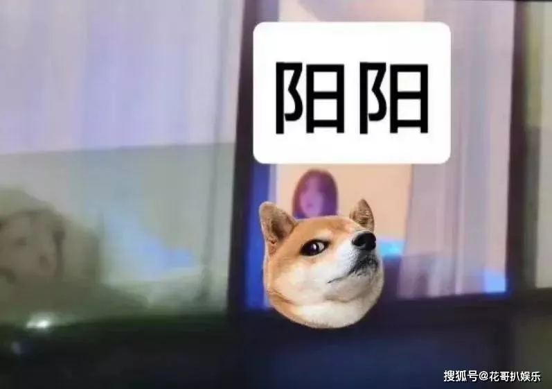 文章配图-76