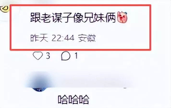 文章配图-4