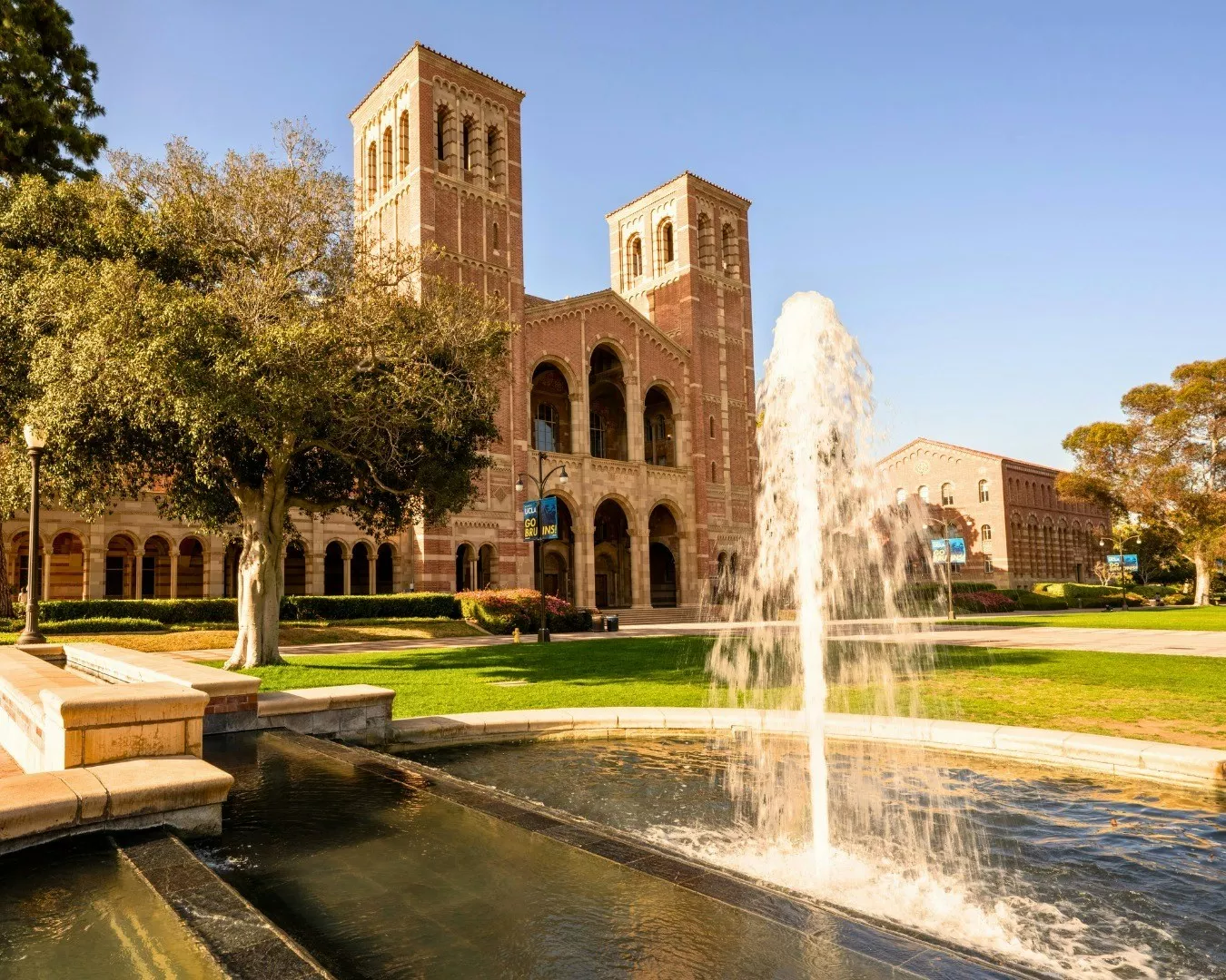 美司法部调查UCLA医学院：招生涉嫌歧视亚裔白人