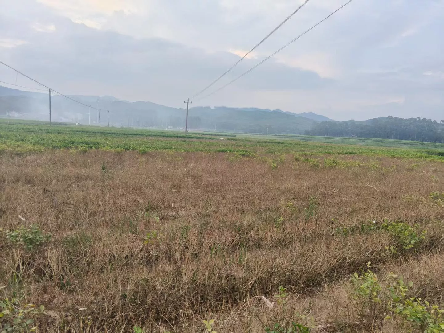 女子被毒蛇咬伤身亡 养蛇场负责人：无法证明蛇来源